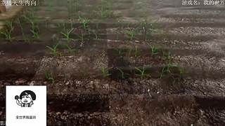 电影级画质，失眠者福音~