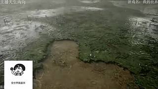 电影级画质，失眠者福音~