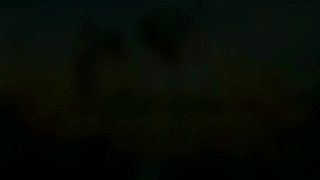 枫泽雨畔的直播间