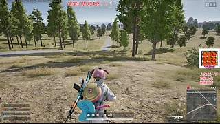 嘿嘿，依旧是阳光明媚的周末