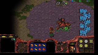 mtn猴子星际争霸