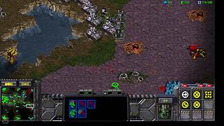 mtn猴子星际争霸