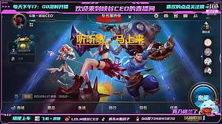 13连跪创始人，国庆特集