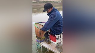 亮gnailux的直播间