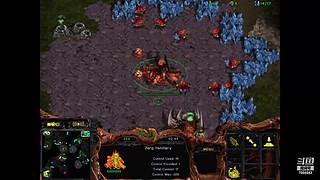 诸葛酒神曲的直播间