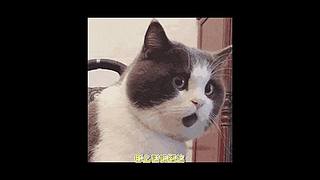 【大能】鲁大能万丈光芒