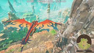 荣哥哥：怪猎宝可梦启动！！