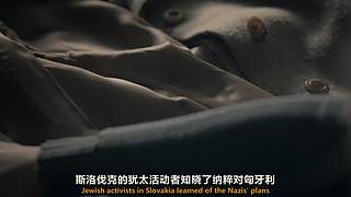 看遍世界各地的纪录片