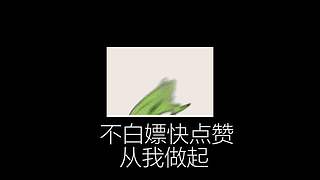 没有比我更懂二次元