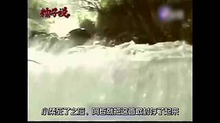 来看声音比电影好听的粽子