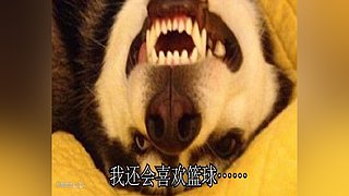 人形自走变声器日配声优