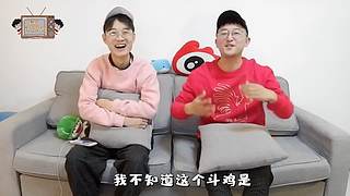 电视这个圈儿的直播间