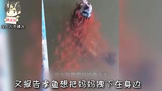 带您进入龙大人不喷火的搞笑天堂