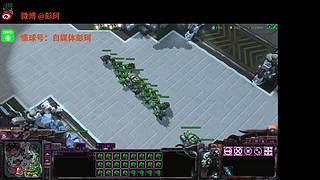 休闲玩家一枚--