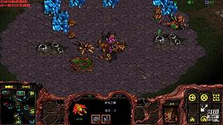 暴风虫族Ameba教你玩转星际争霸I