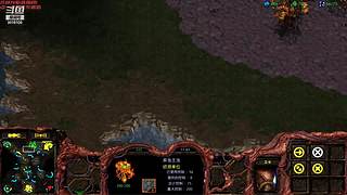 暴风虫族Ameba教你玩转星际争霸I