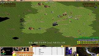 大陆最南徐城鹰少的直播间