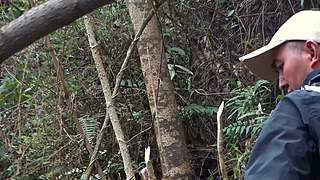 乡土记食的直播间