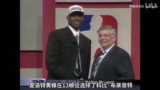 国服最强动物园