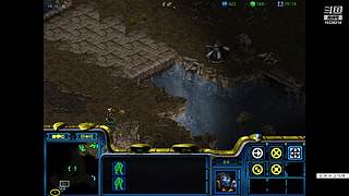 星际老菜鸟，绝色直播间