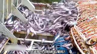 浩贤说电影的直播间