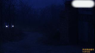 破案专场，为爱发电，多多支持