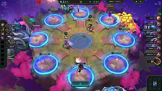 灰色知更鸟的直播间