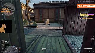 【今日双倍】保卫萝卜杂交版！