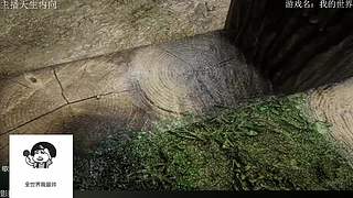 电影级画质，失眠者福音~