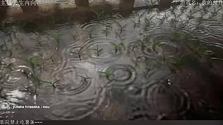 电影级画质，失眠者福音~