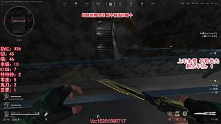 鸟、上车一起玩