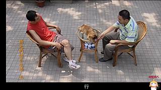 杨光的快乐生活 5832053