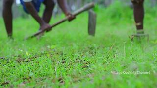 舌尖上的印度丨下饭必备丨点点关注不迷路！