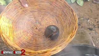 欢乐猴群纪录片