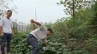 厨师长教你做菜