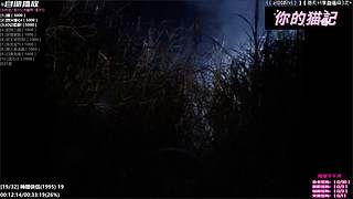 ⌯猫记⌯你的宝藏煲剧间