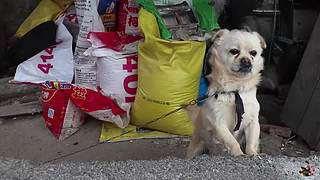 来来嗨嗨嗨
来来来