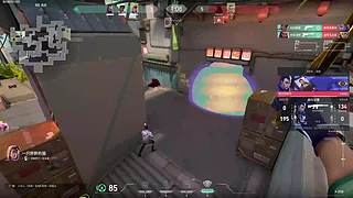 重生之我是卑微小糖