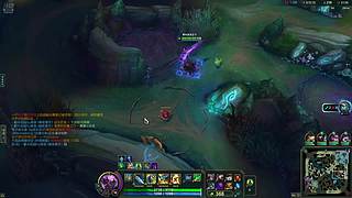 大哥也要上分啊 哈哈