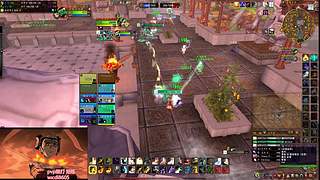 九葵 治疗牧师pvp