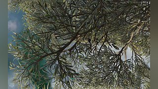 海克斯 灵活 三角洲  可上车~