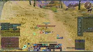 双梦恶人主播~【双梦小攻防】