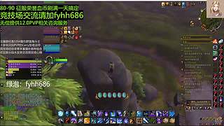 V法-全职业PVP上分(国美欧亚）