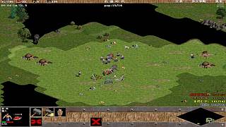 码头162的直播间