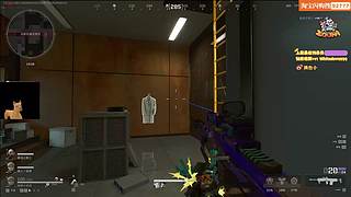 【小白鸽】先玩这个 再玩那个！