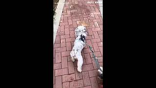 每晚8点比赛【富婆竞技场】