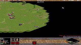 三菜罗马直播间