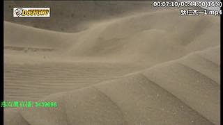 元芳到底看不看