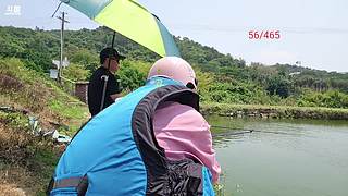 早上8.30钓鱼记得来哦47/459鱼.