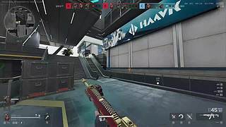 护航界的一棵草